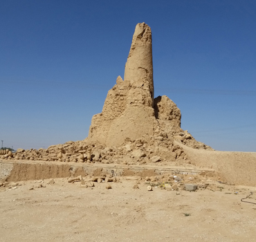 صورة اليوم 